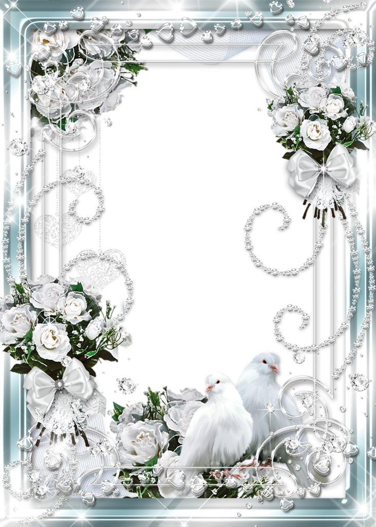 Wedding Bells Border Png Download - Wedding Frame White Png Clipart (732x1024), Png Download