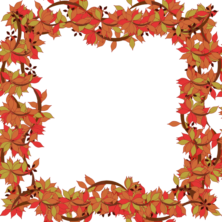 Graphic Frames Floral Design Picture Frames Flower - Frames Cliparts Floral - Png Download (750x750), Png Download