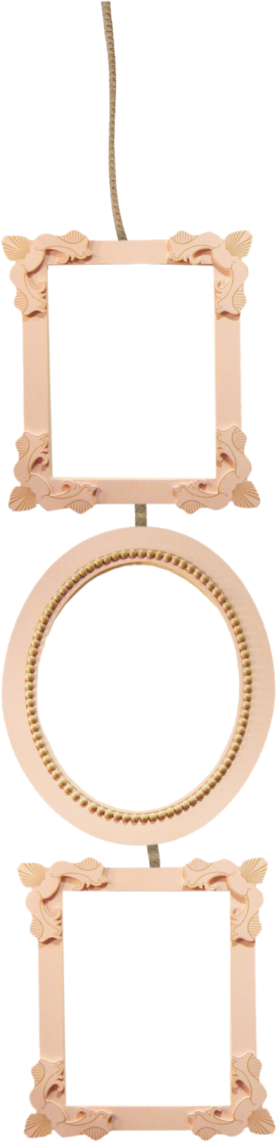 Wedding Photo Frames Png Format Free Download - Circle Clipart (388x1600), Png Download