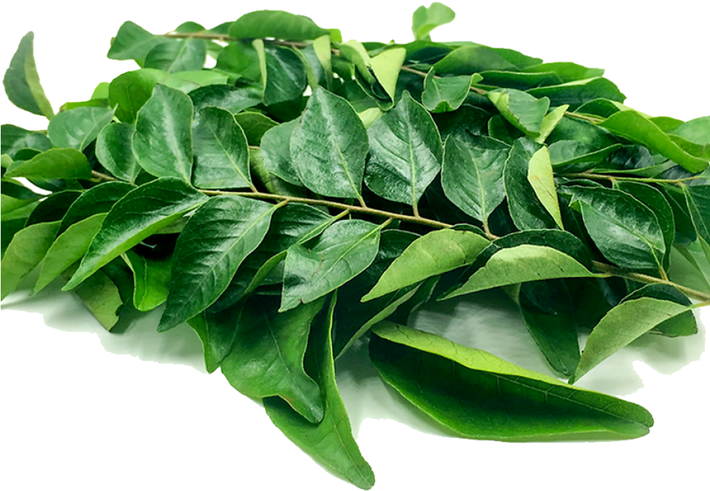 Curry Leaf - Transparent Curry Leaves Png Clipart (1000x1000), Png Download