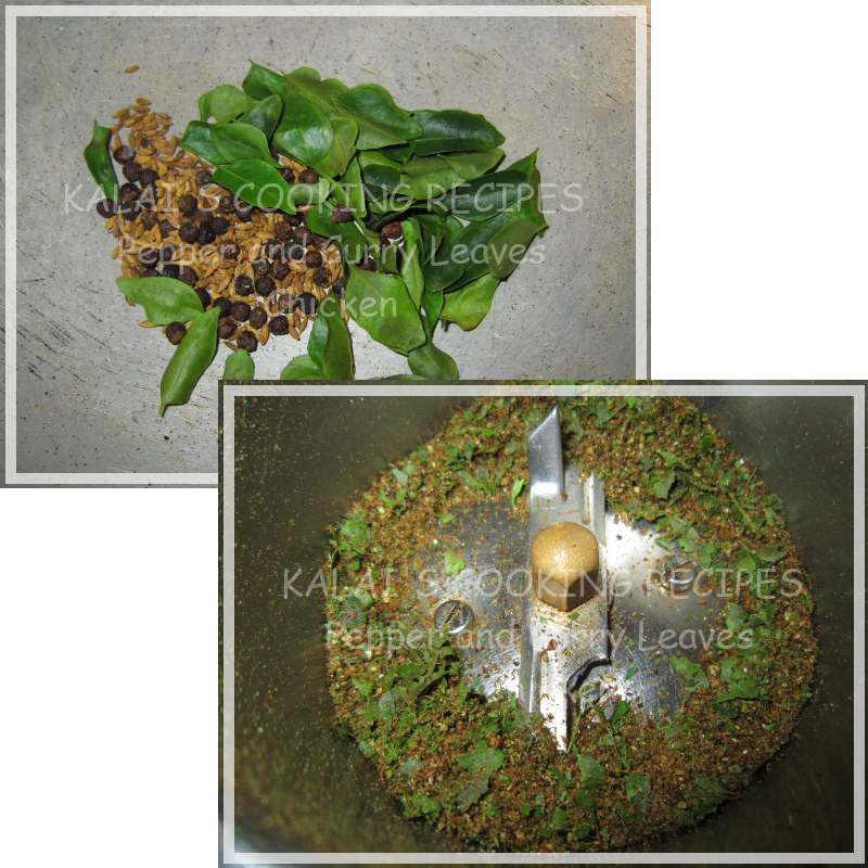 Grass Clipart (800x800), Png Download