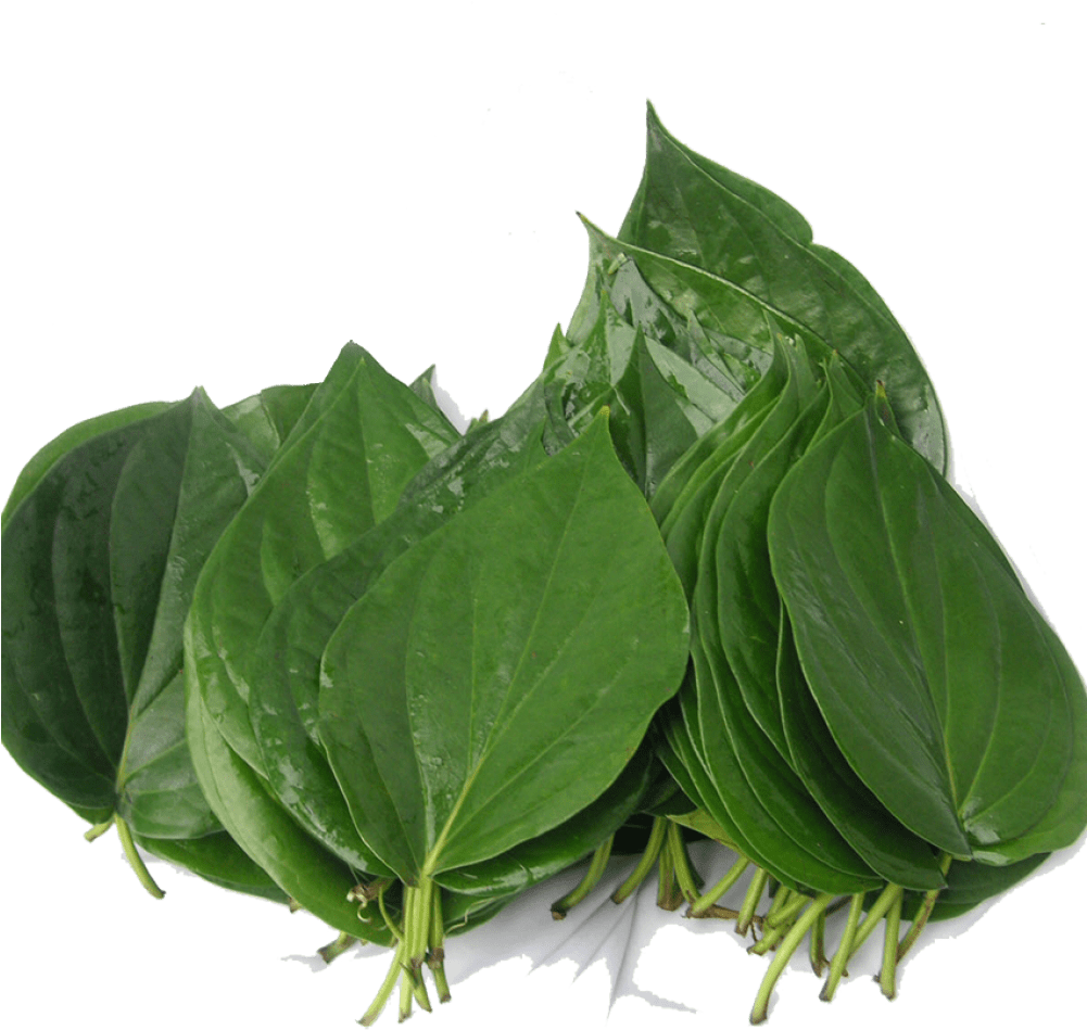 Organic Bitter Leaf - Bitter Leaf In Telugu Clipart (1000x1000), Png Download