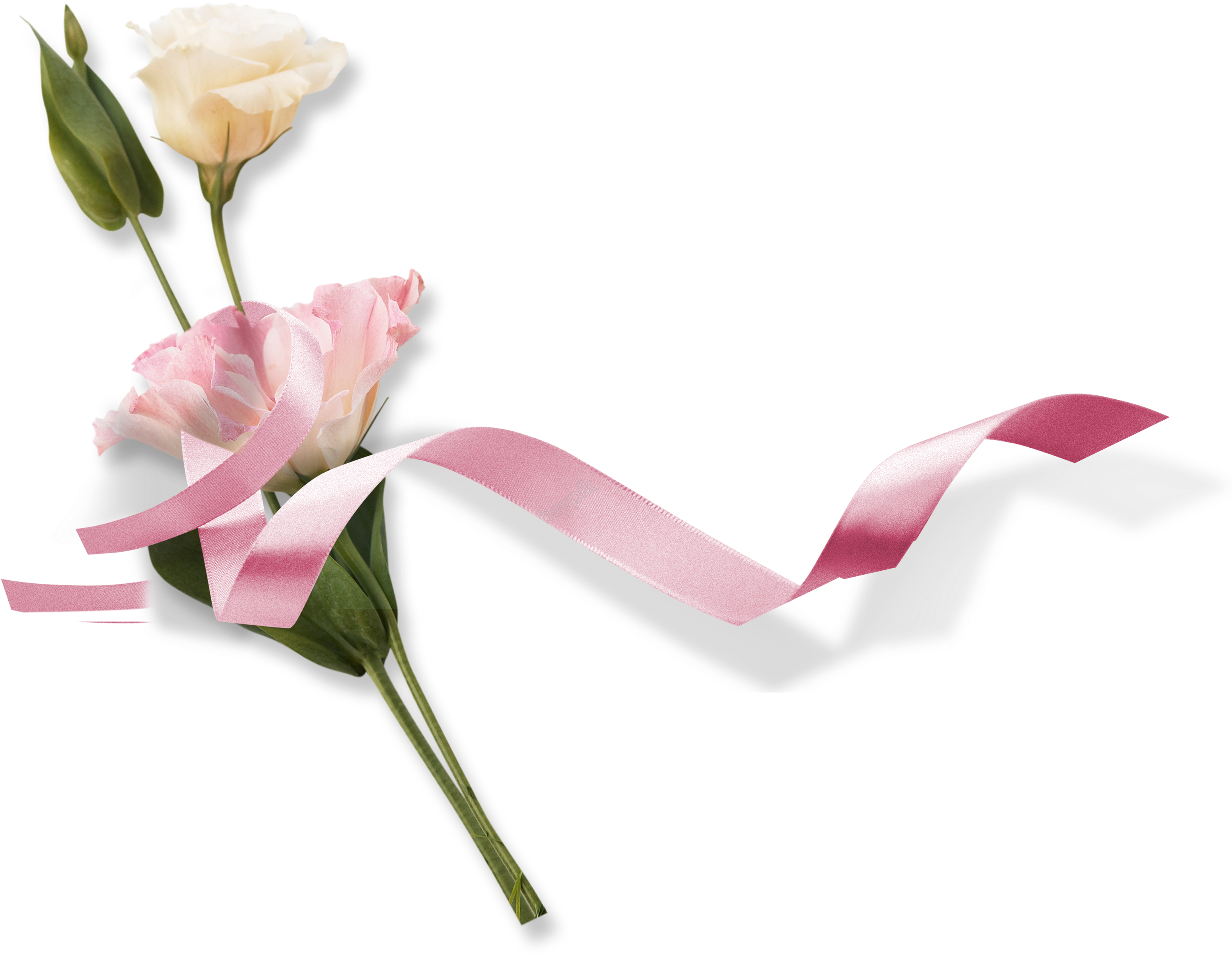 026 Watermarkimage C2h1axlpbl9uzxcucg5ng Center Flower Garden Roses Clipart Large Size Png Image Pikpng