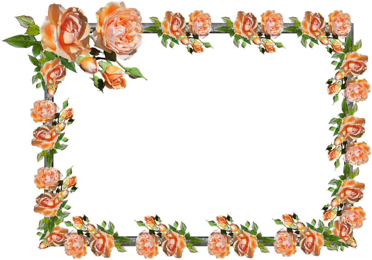 Pictures, Free Photos, - Rose Frame Border Clipart (1280x930), Png Download