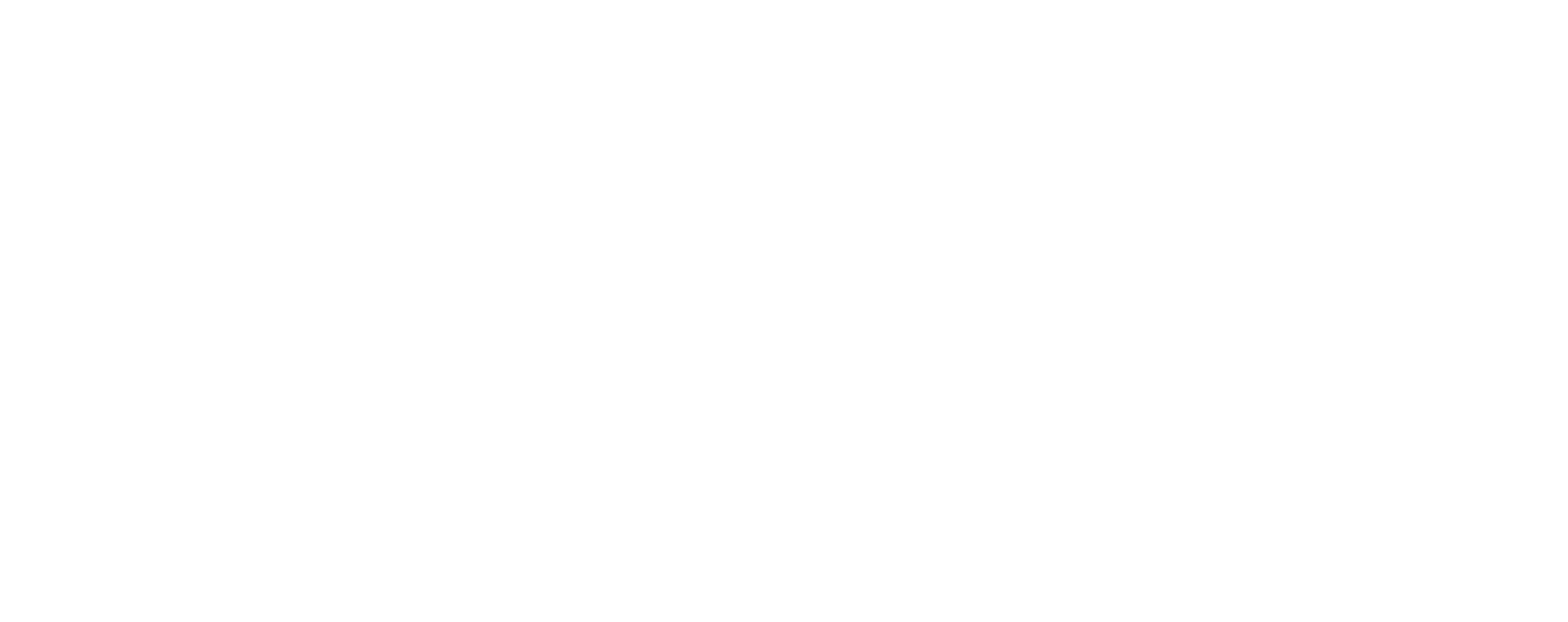 Logo Hahnemanns Kokken - Twitter White Bird Logo Clipart (2937x1166), Png Download