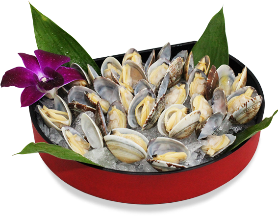 Asari Clam <br> 25pcs / 250g - Mussel Clipart (600x600), Png Download