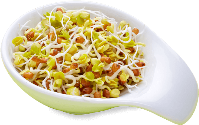 Radieschen - Sprouts Salad Png Clipart (700x683), Png Download
