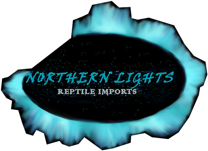 Png - Label Clipart (691x505), Png Download