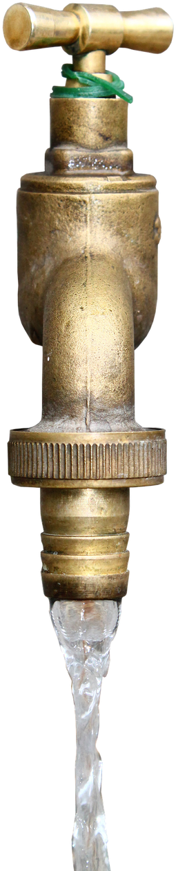 Picture Clipart (626x1289), Png Download