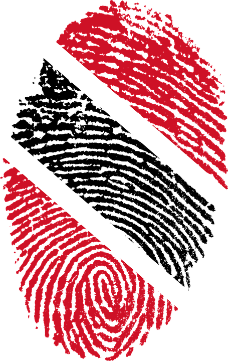 Trinidad And Tobago Flag Clipart National Flag - Trinidad And Tobago Pride - Png Download (455x720), Png Download