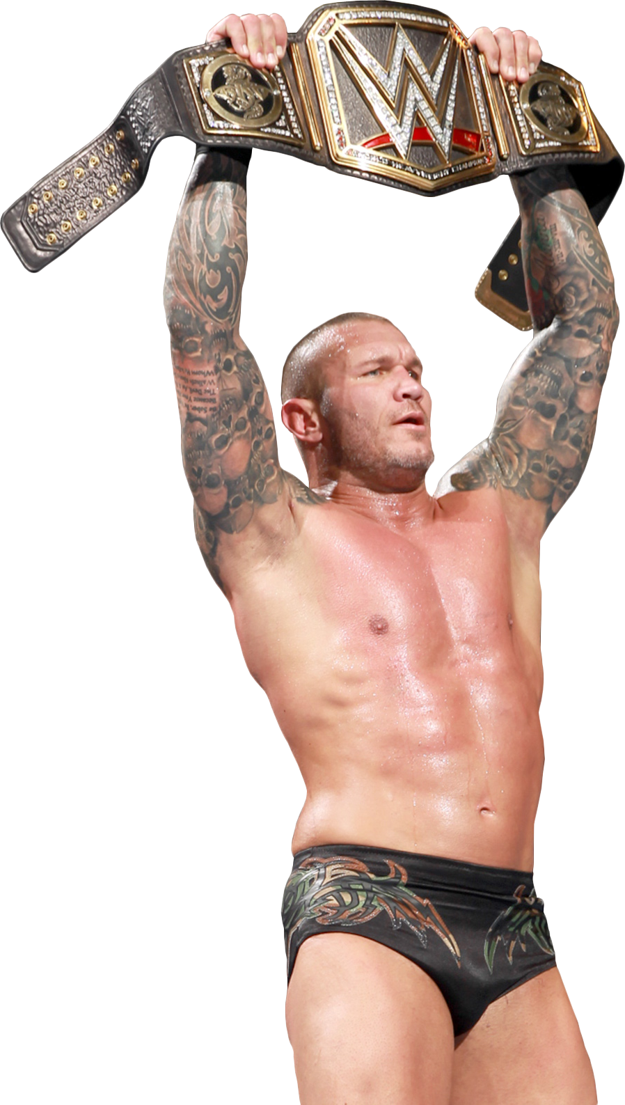 Randy Orton Png - Randy Orton No Background Clipart (898x1587), Png Download