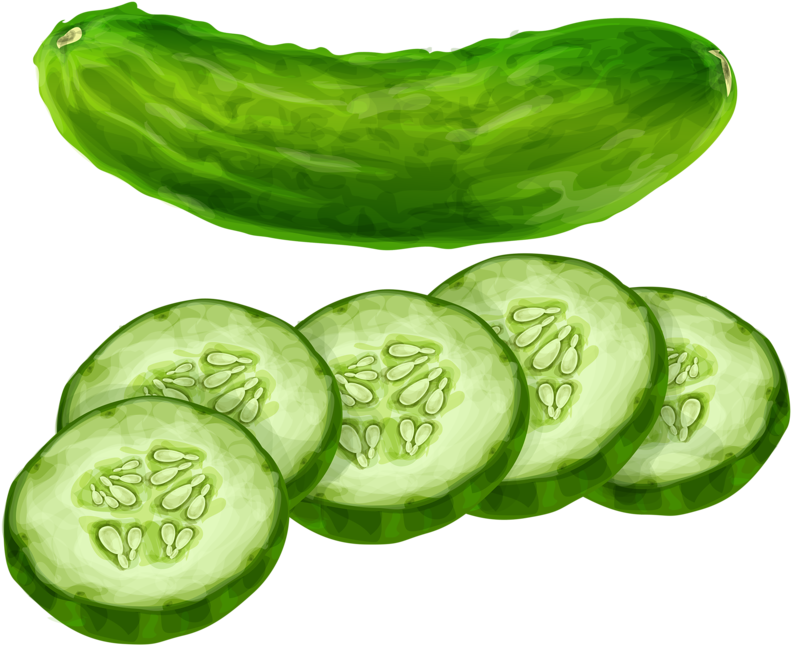 Cucumber - Pepino - Cucumber Clipart - Png Download (800x649), Png Download
