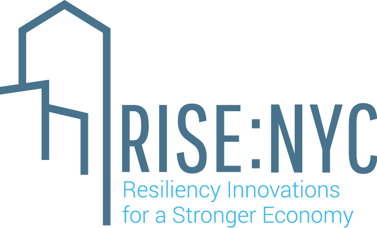Nyc, Resiliency Innovations For A Stronger Economy - Rise Nyc Logo Clipart (742x449), Png Download