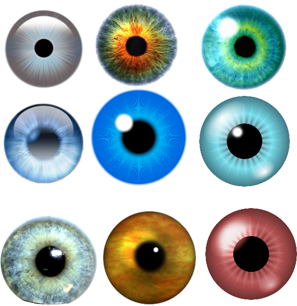 Eyes Pack - Circle Clipart (583x600), Png Download