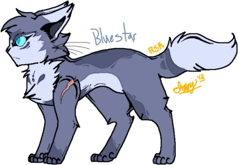 Warrior Cats - Bluestar - - - Cartoon Clipart (772x533), Png Download