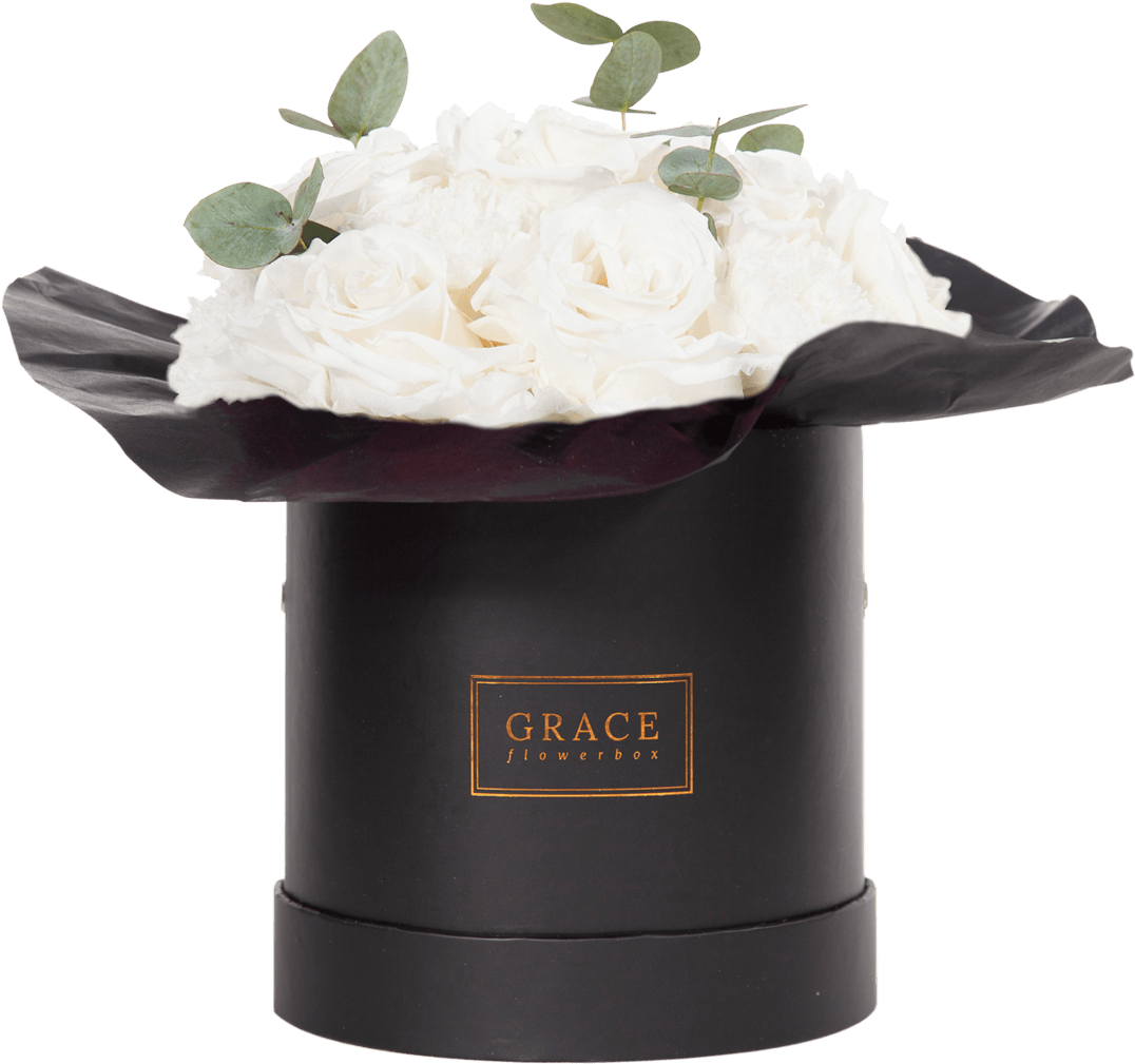 White Carnation - Jasmine Clipart (1138x1200), Png Download