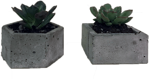 Succulent Large Hex Pot Set - Flowerpot Clipart (600x564), Png Download