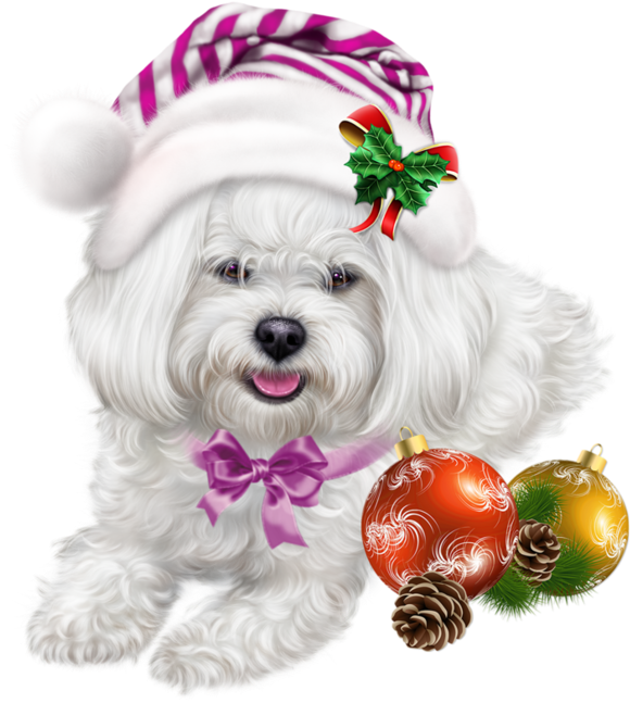 600 X 661 3 - Christmas Puppy Images Clipart - Png Download (600x661), Png Download
