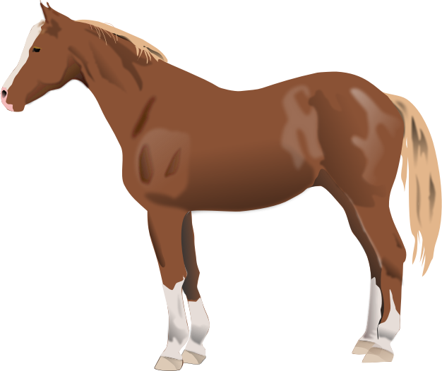 Horse Clipart Ba Horse Clipart Download Horse Clip - Qui Suis Je Animaux - Png Download (626x526), Png Download