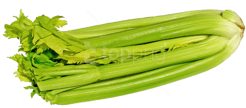 Free Png Green Celery Png Images Transparent - Celery Clipart (850x452), Png Download