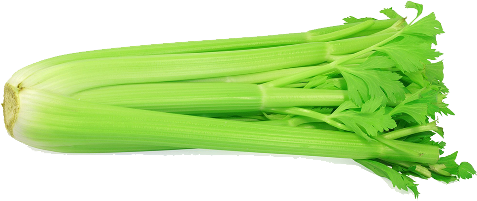 Celery - Celery With White Background Clipart (1000x850), Png Download