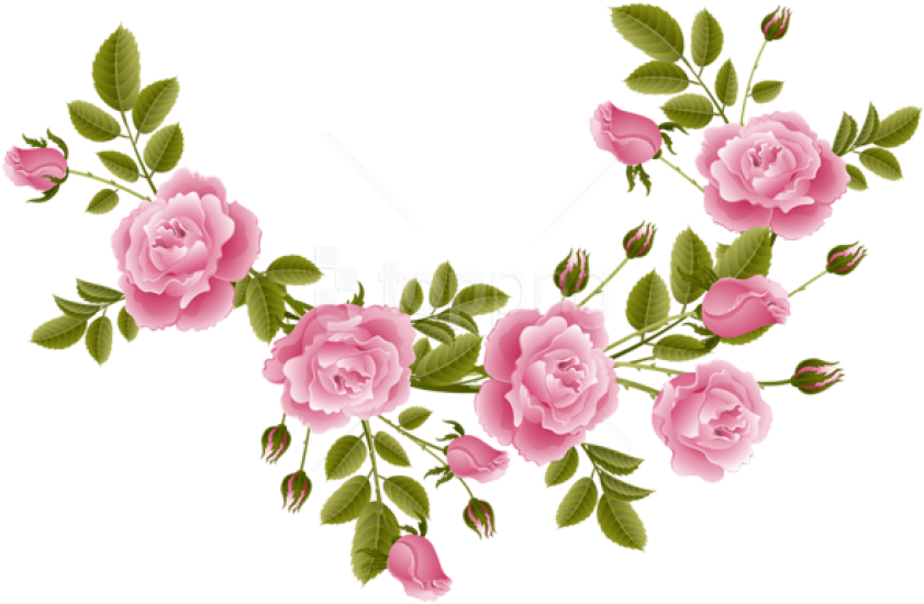 Free Png Download Rose Decoration Transparent Clipart - Png Pink Rose Decoration (850x553), Png Download