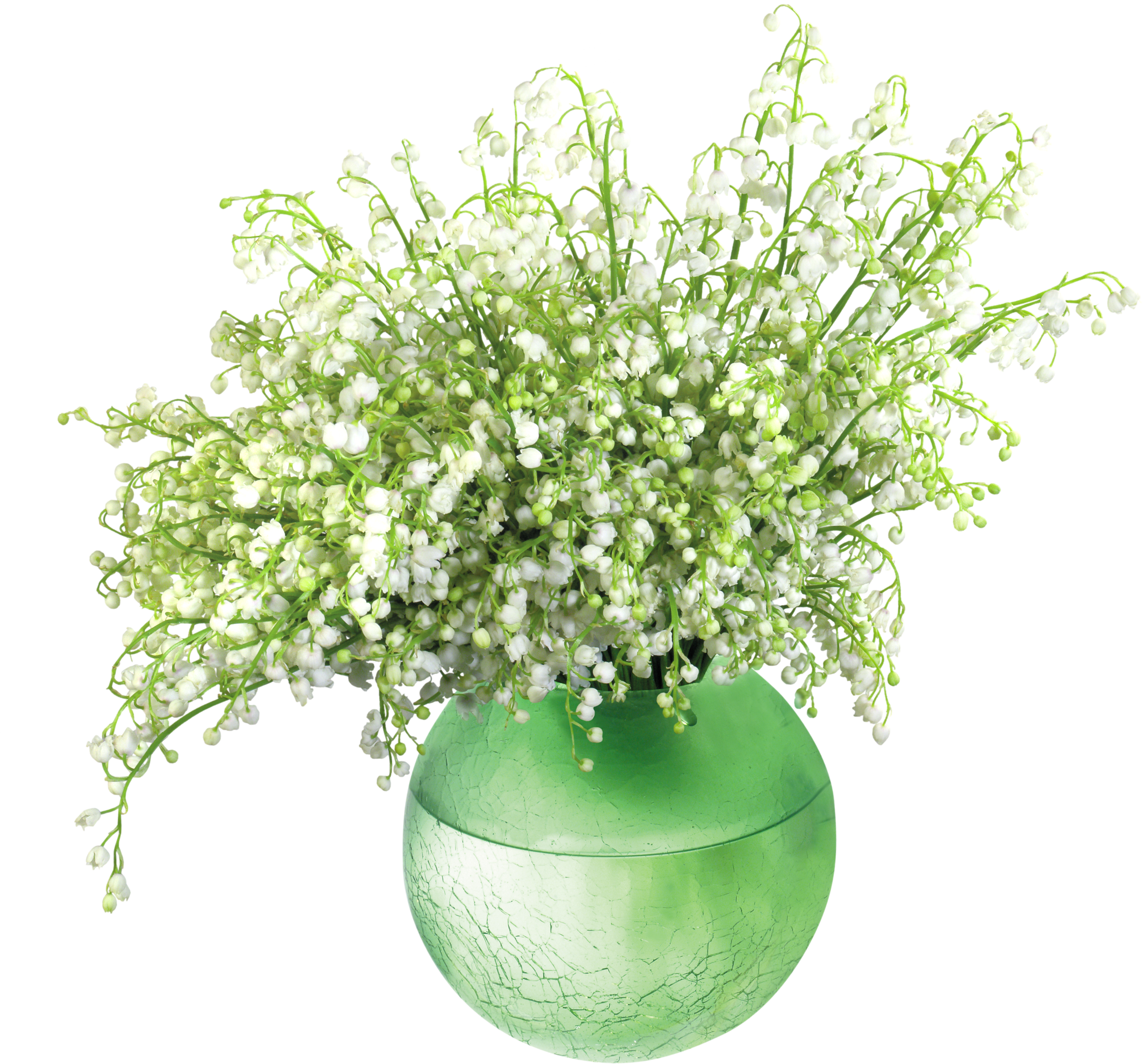 Lily Of The Valleyin Vase Png Clip Art Image - Vase De Fleure Deco Transparent Png (2800x2607), Png Download
