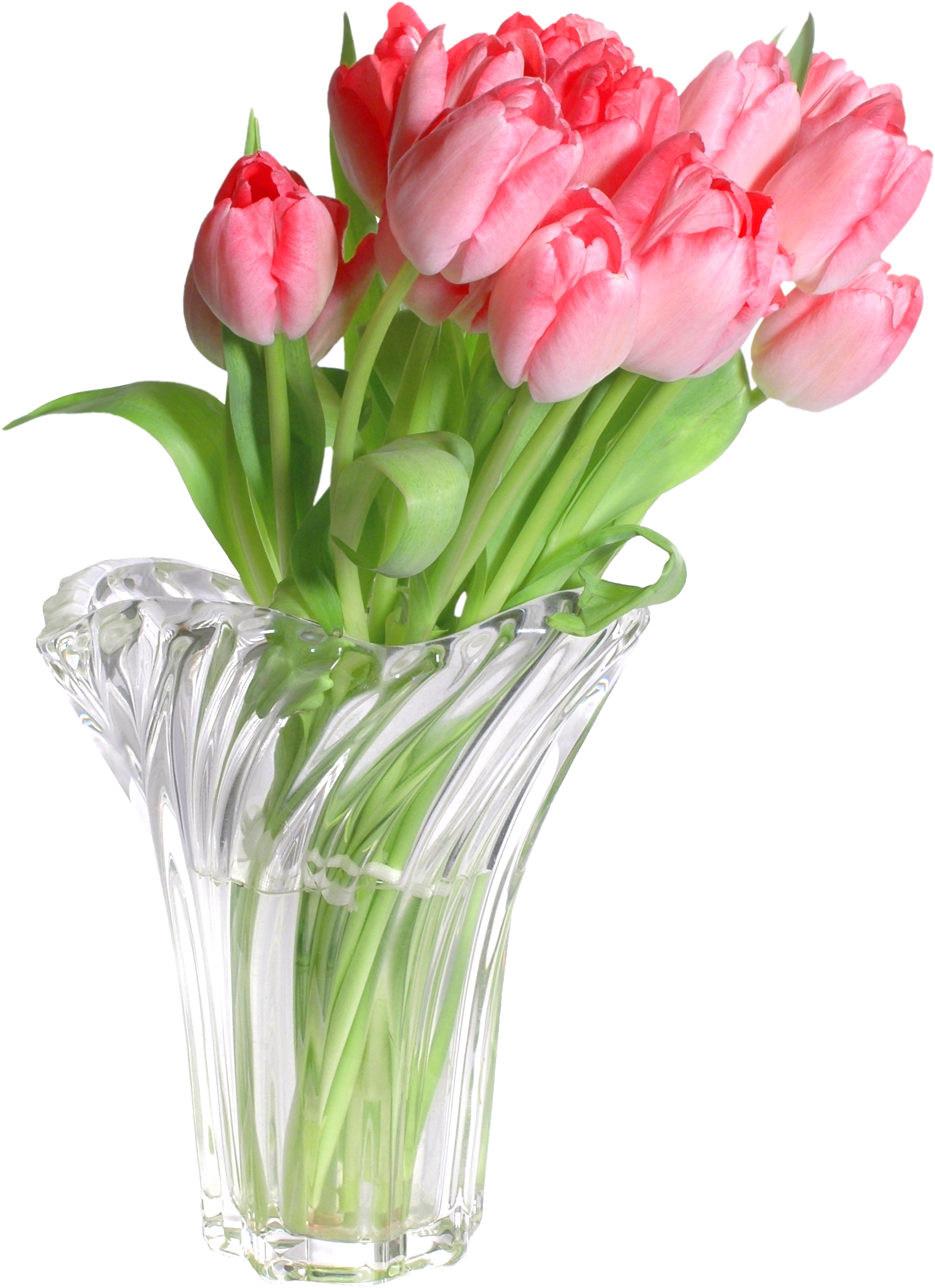 Pink Tulips In Vase Png Clip Art Image - Tulips In A Vase Png Transparent Png (1782x2404), Png Download