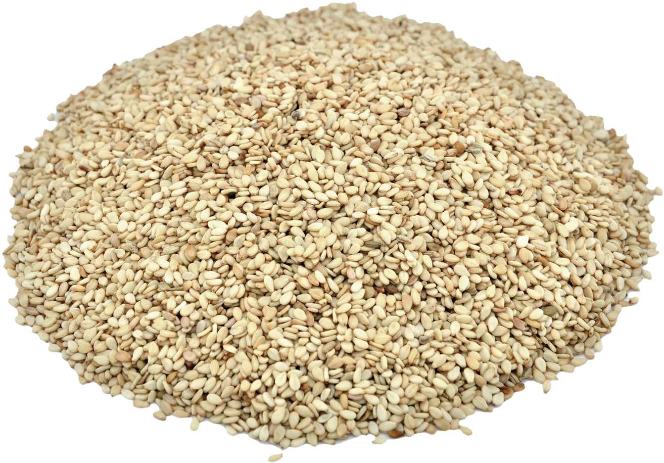 Herbs & Botanicals-sesame Seeds - Barley Clipart (1500x1000), Png Download