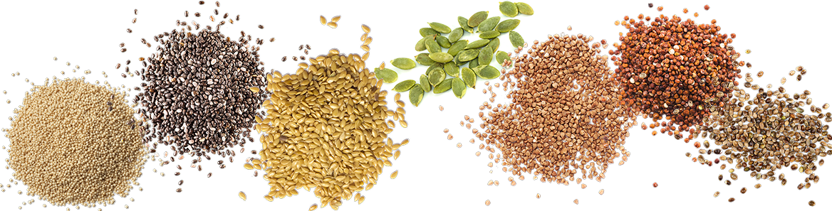 Learn More About Our Ingredients - Sesame Clipart (1168x297), Png Download