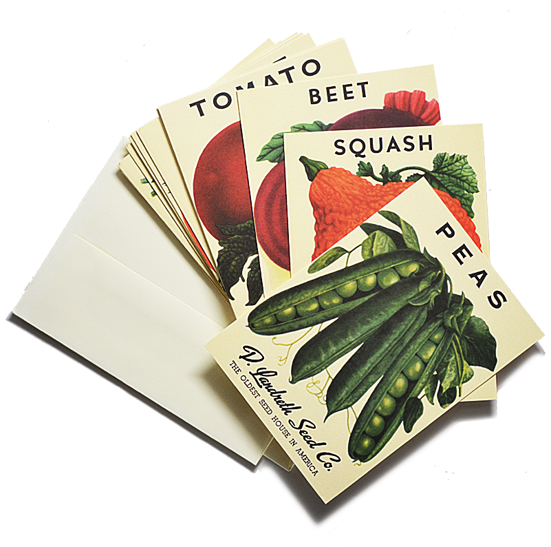 As Featured In House Beautiful Magazine We Chose 18 - Vegetable Seed Seed Packet Png Clipart (800x800), Png Download