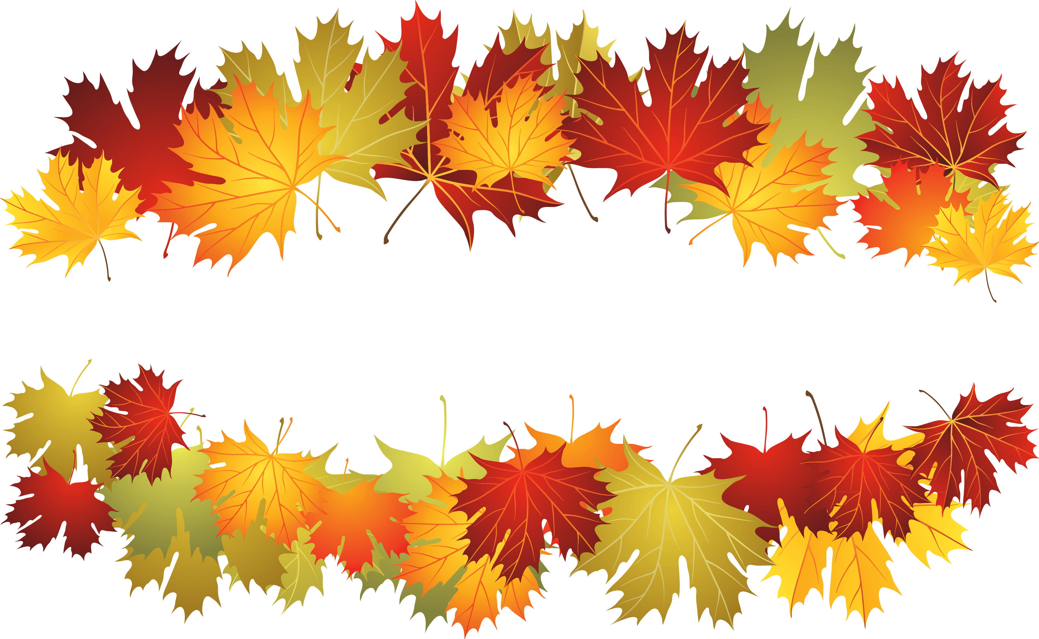Fall Deco Leafs Png Clipart Picture - Maple Leaves Background Transparent Png (3438x2216), Png Download