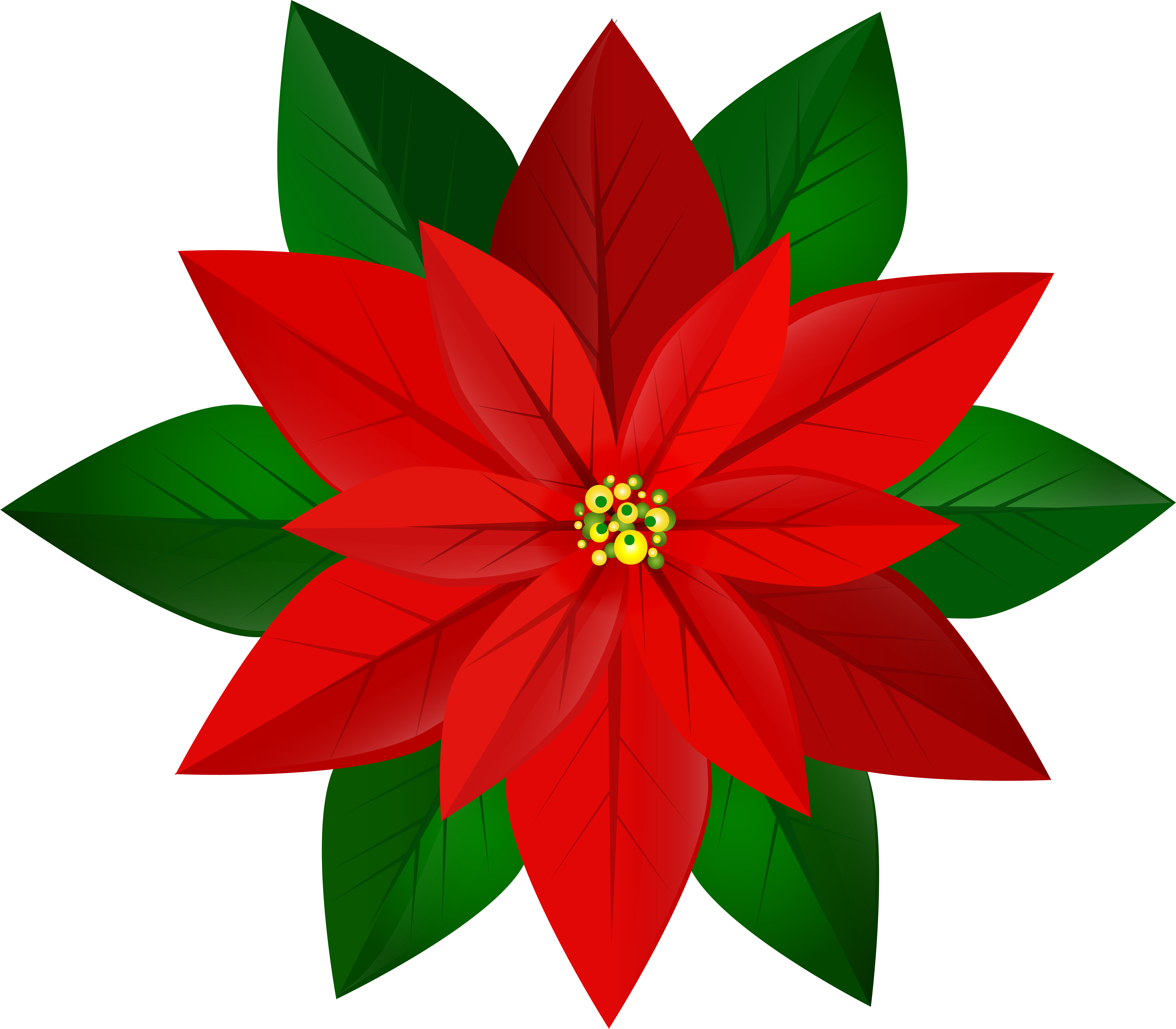 Christmas Red Poinsettia Png Clip Art Image Transparent Png (8000x7003), Png Download