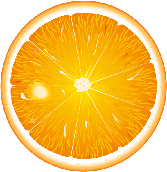 Round Orange Slice Png Clip Art Round Orange Clip Art Transparent Png