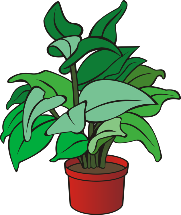 Houseplant Flowerpot Poinsettia Computer Icons - Plants Clipart Png Transparent Png (632x750), Png Download