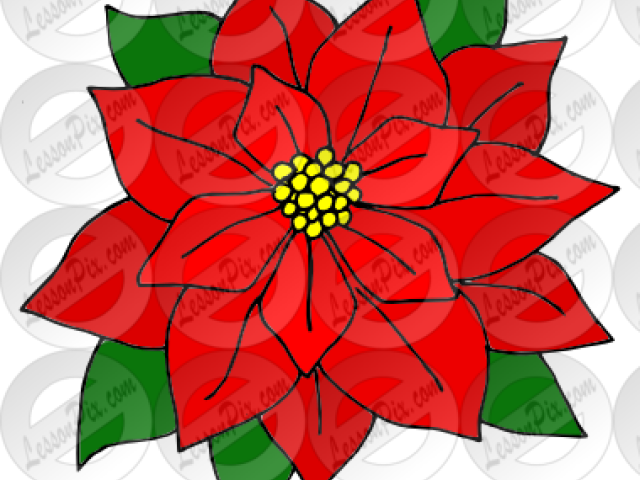 Poinsettia Clipart (640x480), Png Download