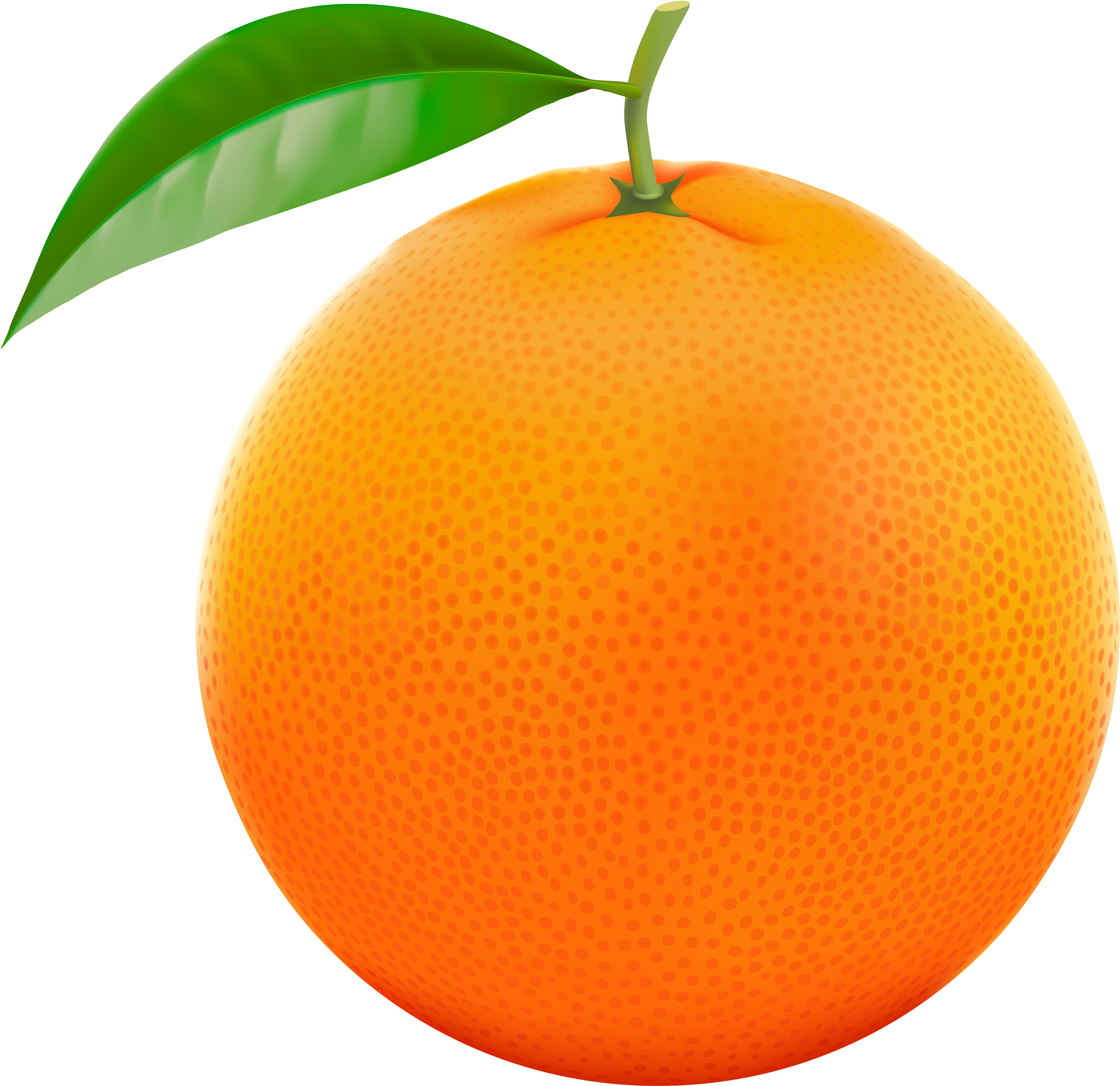 Orange Fruit Clipart Orane - Orange Clip Art - Png Download (3200x3180), Png Download