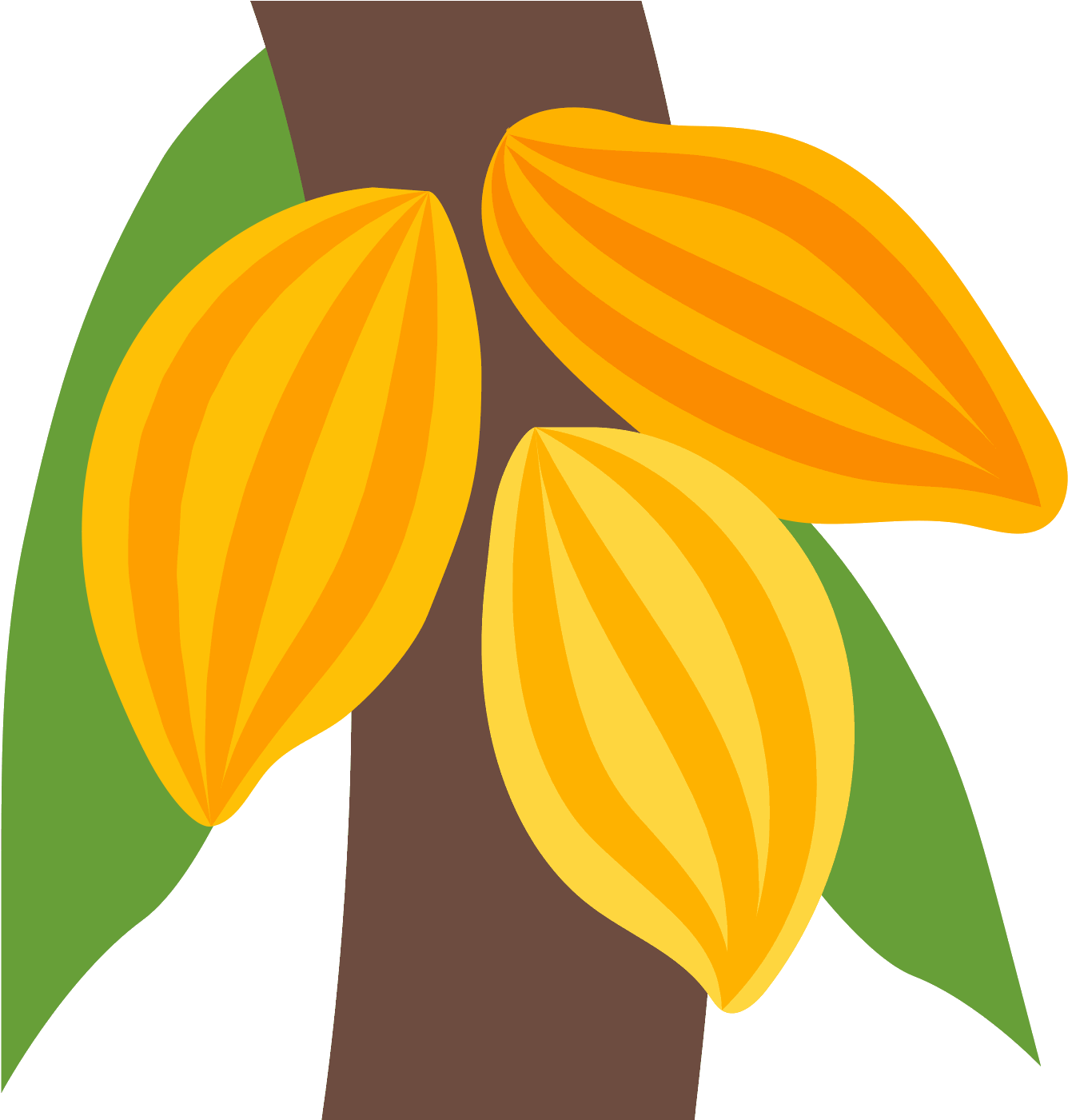 Png 50 Px - Cocoa Bean Png Clipart (1336x1401), Png Download