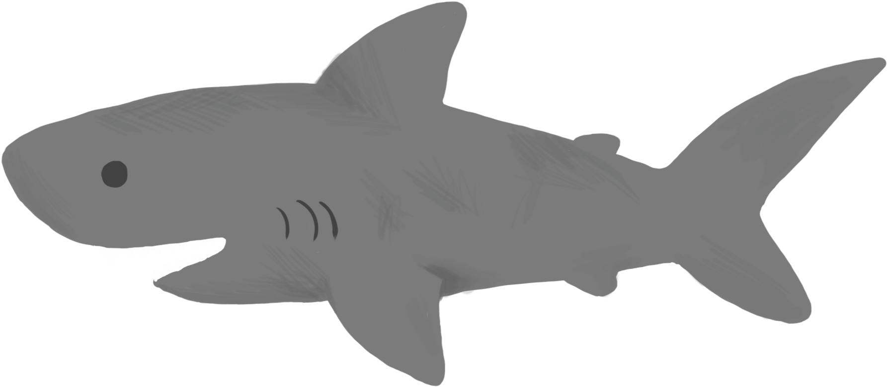 Graphic By Jackie Lou - Great White Shark Clipart (2100x2100), Png Download