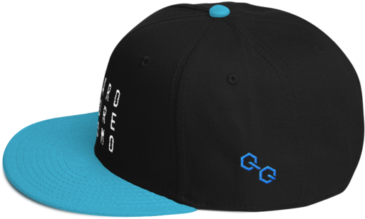 Hardcore Homo Snapback Hat - Baseball Cap Clipart (600x600), Png Download