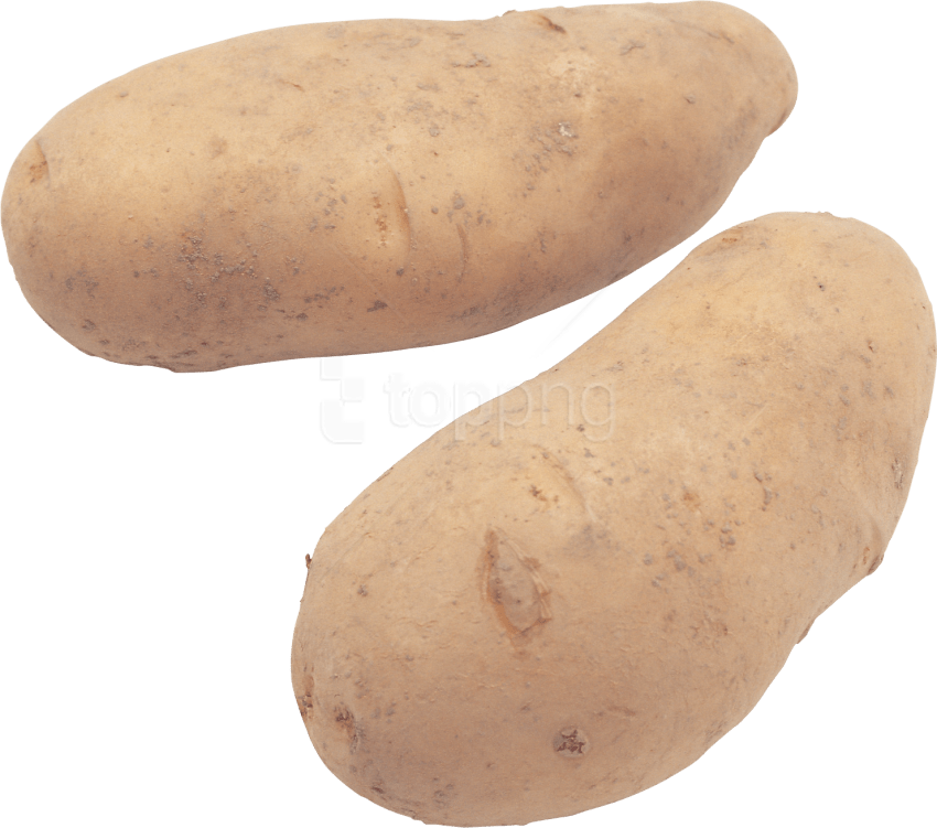 Free Png Potato Png Images Transparent - Potato Stock Image Transparent Clipart (850x751), Png Download