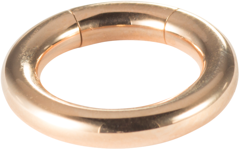 Labretpiercing Septumpiercing Segmentring Brillant - Body Jewelry Clipart (787x490), Png Download