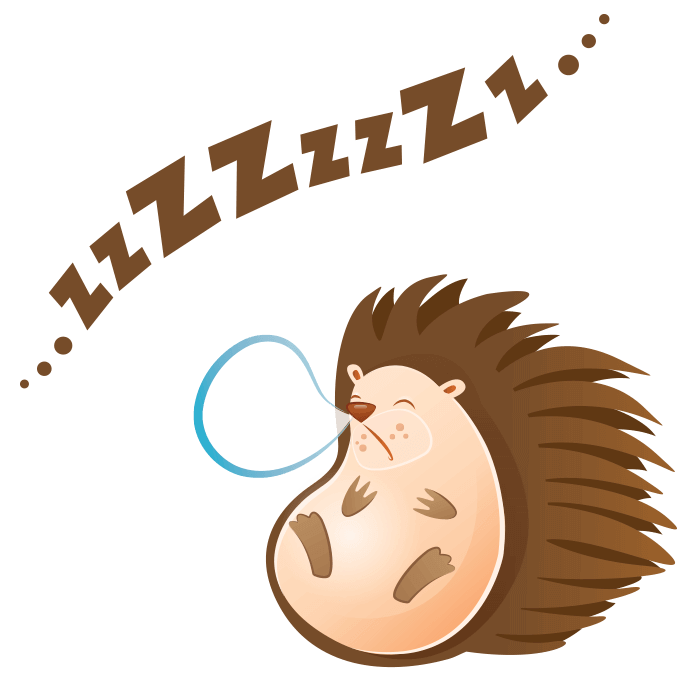 700 X 700 6 - Riccio Che Dorme Disegno Clipart (700x700), Png Download
