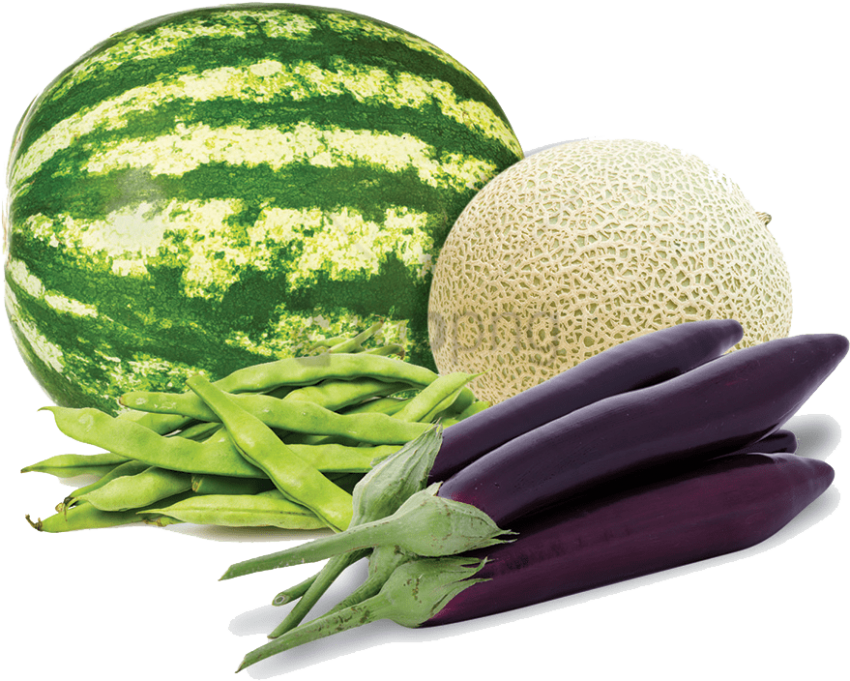 Free Png Download Ripe Watermelon Isolated On White - Watermelon Clipart (850x681), Png Download