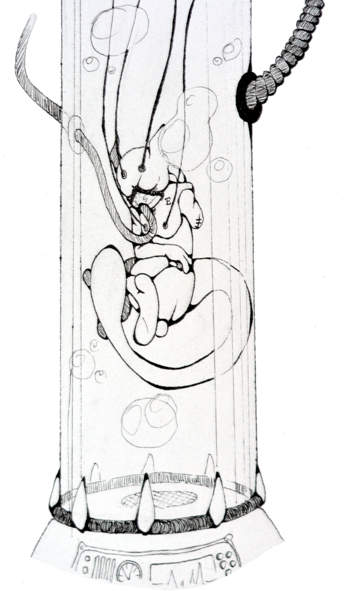 Clip Freeuse Download Test Tube Drawing At Getdrawings - Test Tube Baby Drawing - Png Download (688x1161), Png Download