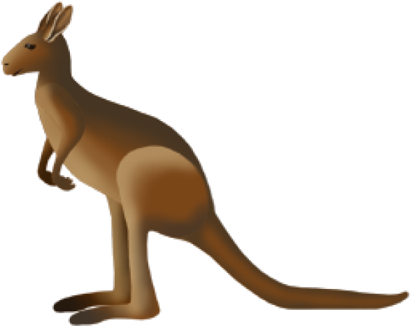 Kangaroo Clipart (640x480), Png Download