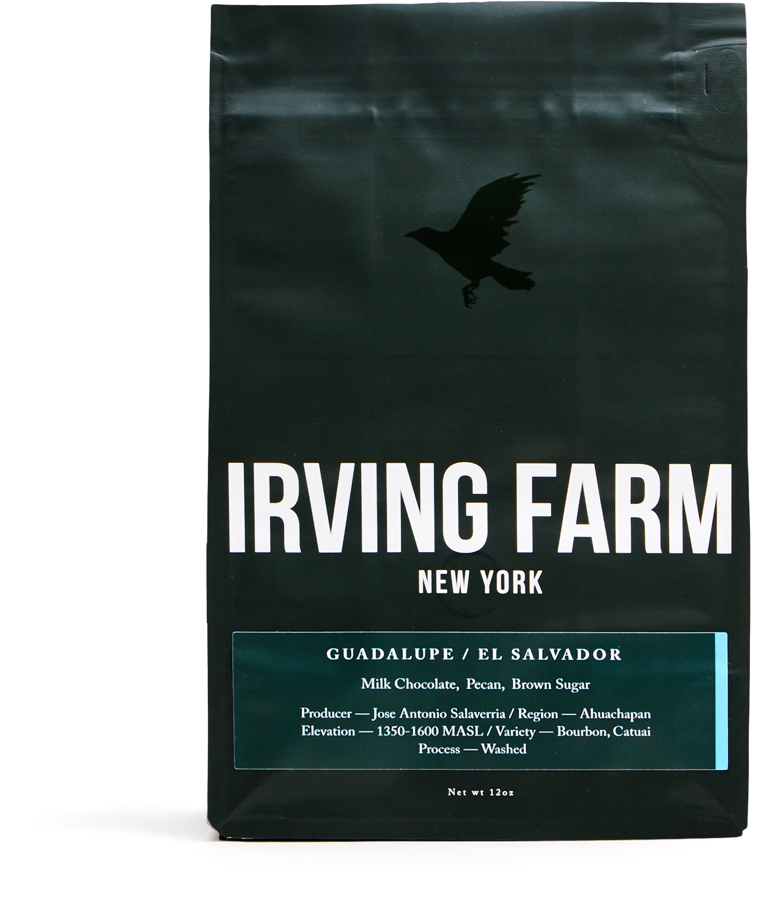 Seabird Clipart (2560x2560), Png Download