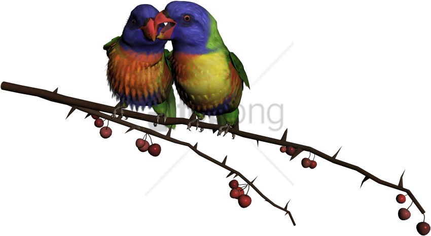 Free Png Beautiful Flying Birds Png Image With Transparent - Beautiful Flying Birds Png Clipart (850x466), Png Download