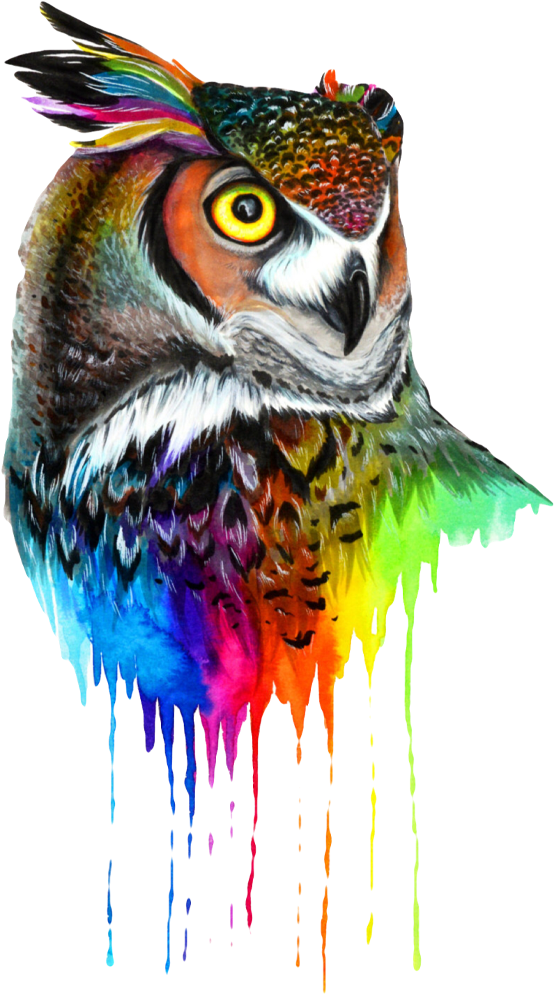#owl #colors #mandala #bird #animal #nature #beak #wings - Tattoo Clipart (1024x1511), Png Download
