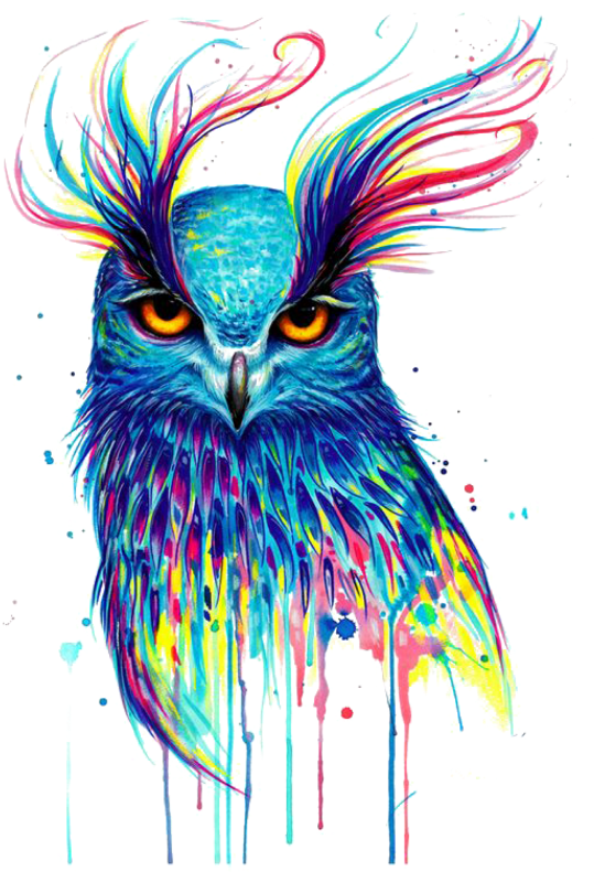 #mq #owl #colorful #paint #birds #bird #flying - Colorful Owl Drawings Clipart (1024x1024), Png Download